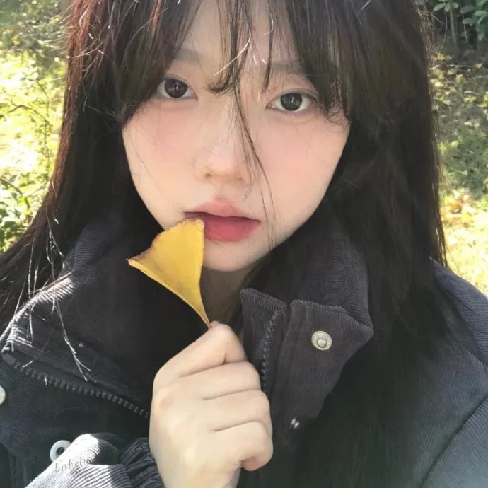 真爱至上：红鼻子日特别集